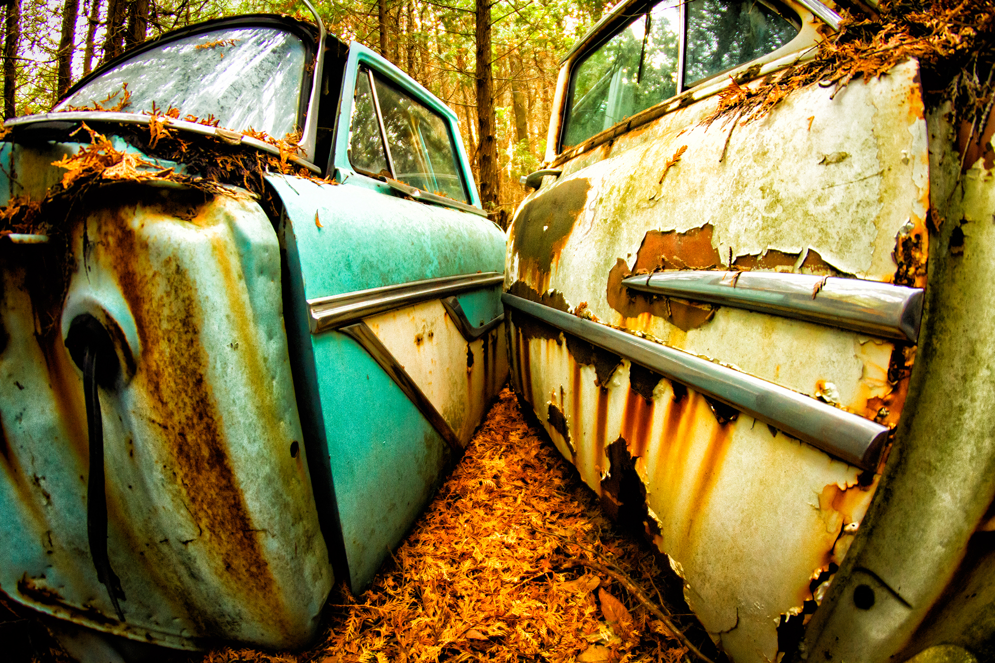 Rusted doors in a junkyard make auto eROTica art