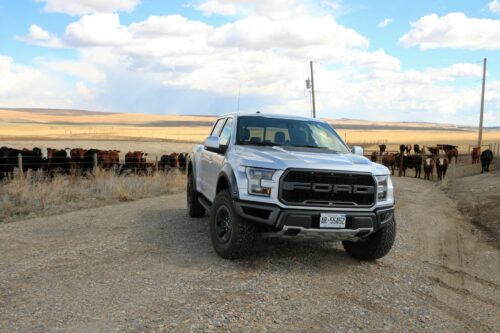 2017 Ford F-150 Raptor