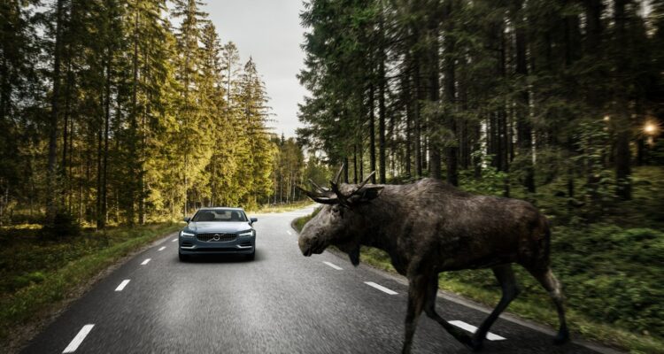 Volvo S90 large animal detection