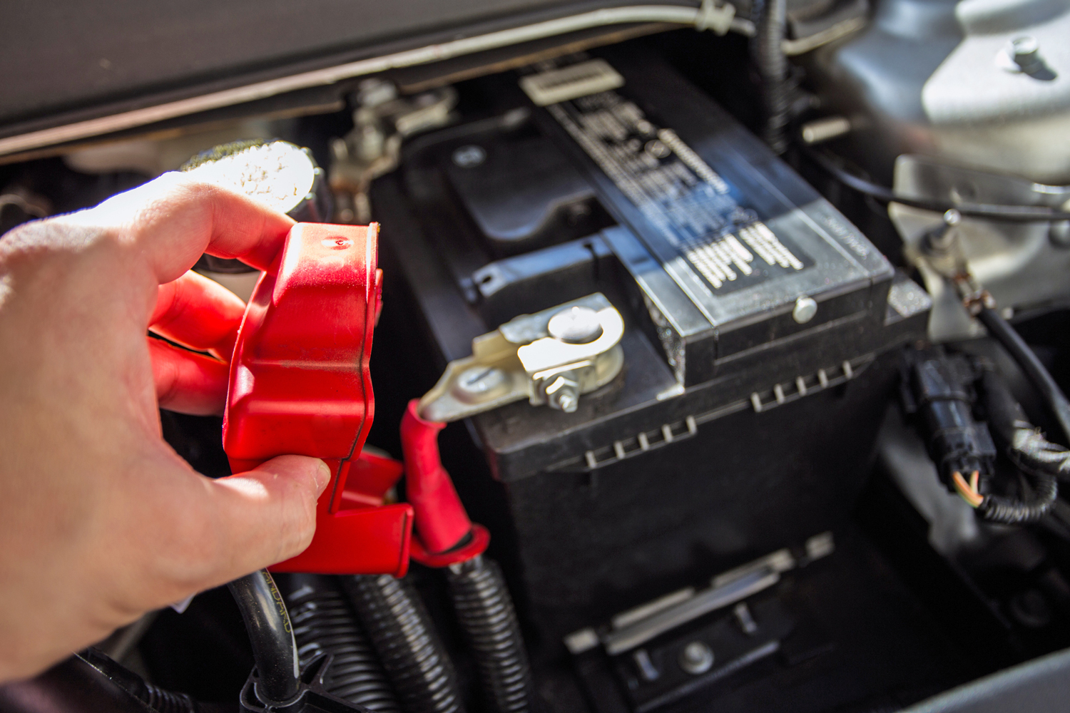 My Mechanic Batteries, Starting and Storing