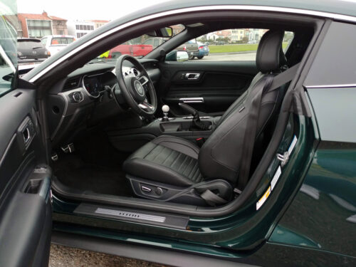 2019 Ford Mustang Bullitt