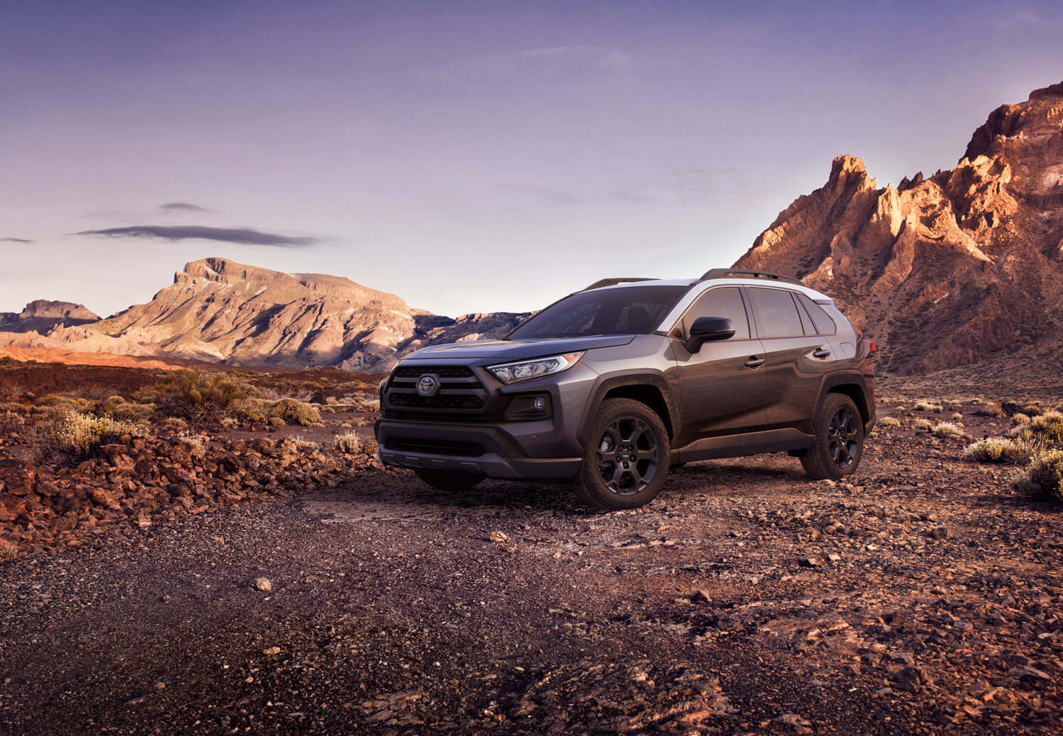 2020 Toyota RAV4 Trail AWD TRD Off Road-1