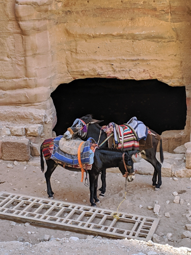 The-walk-to-Petra