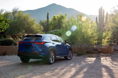 2022-Lexus-NX-350h-rear