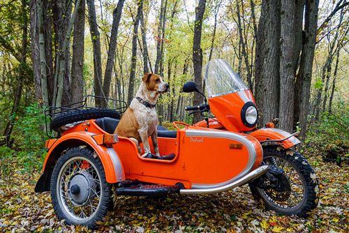 2011-Ural-Patrol-1