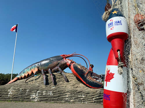 Shediac Lobster