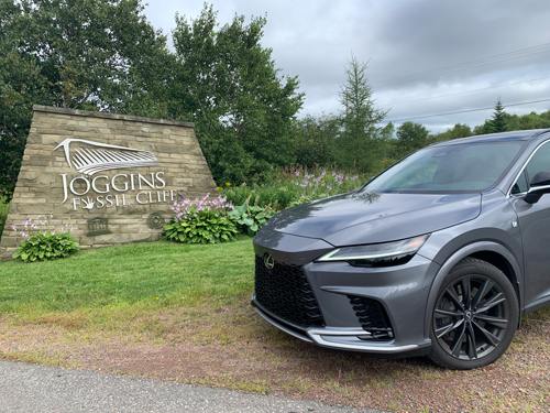 2023-Lexus-RX-500h-F-Sport