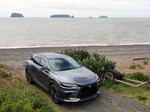 2023 Lexus RX F-Sport