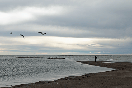 Walking along the beach