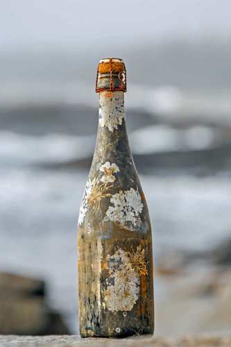 Benjamin-Bridge-‘11-Blanc-de-Noirs