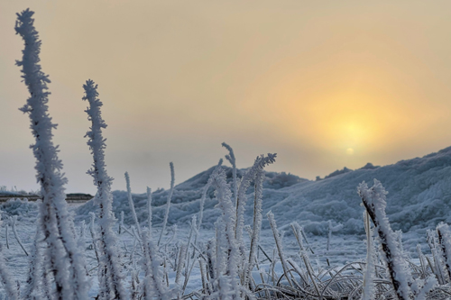 Snow-crystallized