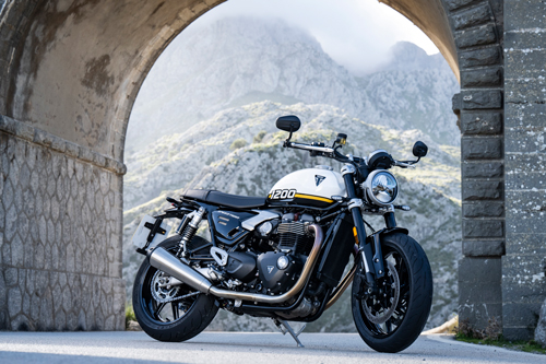 2025-Triumph-Speed-Twin-1200-side