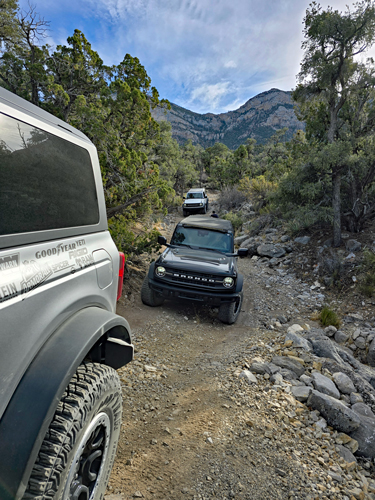 Ford-Bronco-Off-Rodeao-