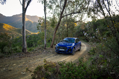 2025-Audi-SQ5-on-road