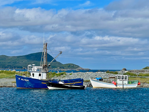 Newfoundland Fishing Harbour