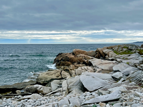 Newfoundland shores