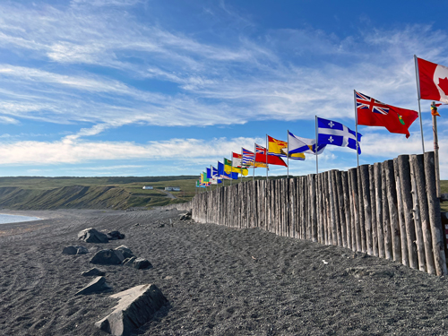 Newfoundland-shore