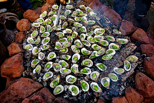The-Fireworks-Feast-oysters-on-an-open-fire