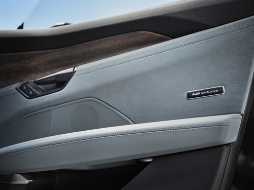 2025-Audi-RS-e-tron-GT-door-panel