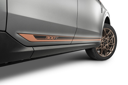 Ford-Custom-Garage-Maverick-300T-Concept-side-door