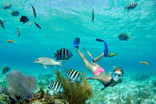 Grand-Cayman-Snorkelling