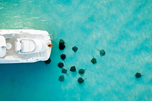 Grand Cayman, swimming with the stingrays